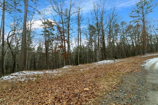 Lot 5 Curtis Ridge Road, Blue Ridge, GA 30513