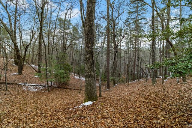 Lot 5 Curtis Ridge Road, Blue Ridge, GA 30513