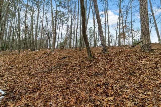 Lot 5 Curtis Ridge Road, Blue Ridge, GA 30513