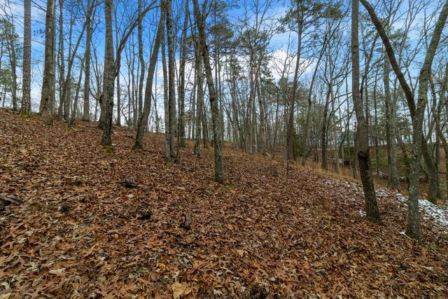 Lot 5 Curtis Ridge Road, Blue Ridge, GA 30513