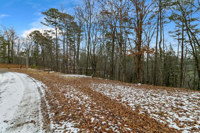 Lot 5 Curtis Ridge Road, Blue Ridge, GA 30513