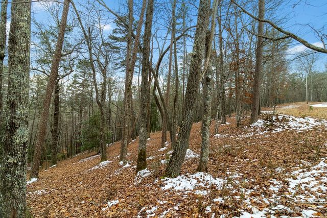 Lot 5 Curtis Ridge Road, Blue Ridge, GA 30513