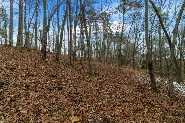 Lot 5 Curtis Ridge Road, Blue Ridge, GA 30513