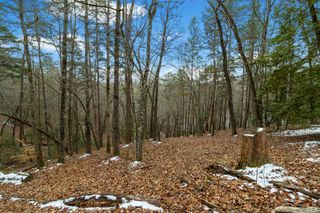 Lot 5 Curtis Ridge Road, Blue Ridge, GA 30513
