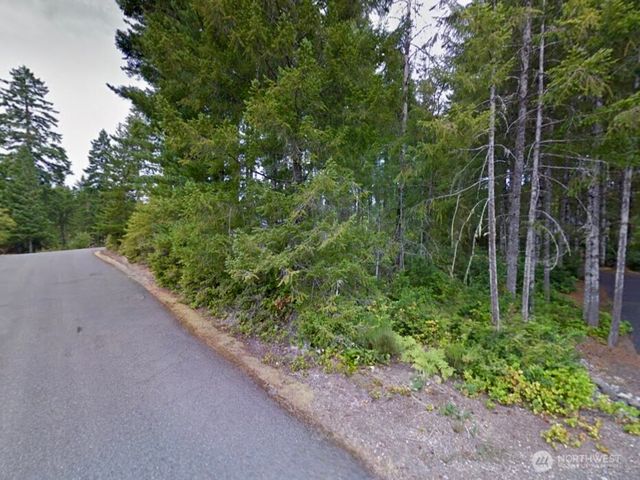 18 E Flaggwood Court, Union, WA 98592