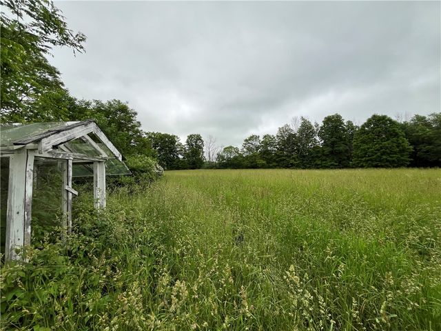 326 Park Hill Road, Erin, NY 14838