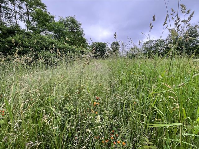 326 Park Hill Road, Erin, NY 14838