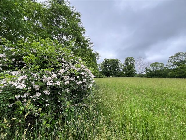 326 Park Hill Road, Erin, NY 14838