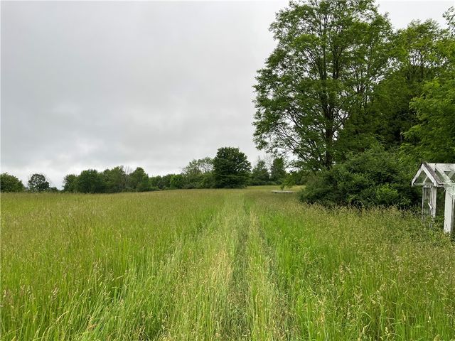 326 Park Hill Road, Erin, NY 14838