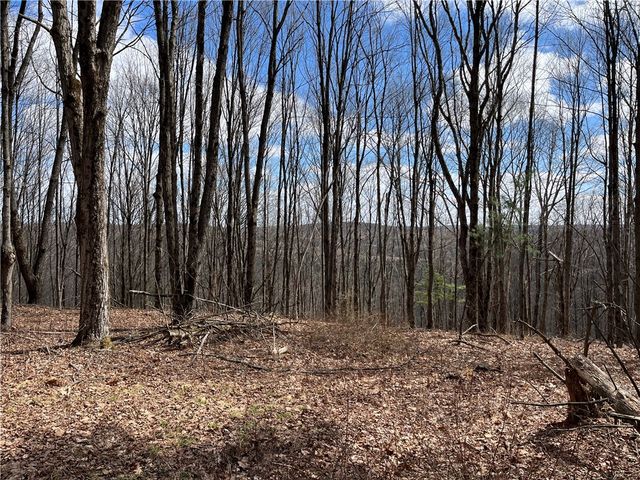 326 Park Hill Road, Erin, NY 14838