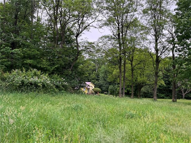 326 Park Hill Road, Erin, NY 14838