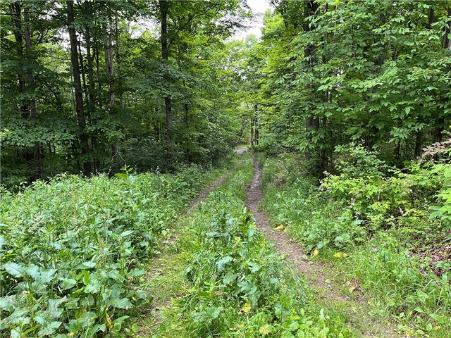 326 Park Hill Road, Erin, NY 14838