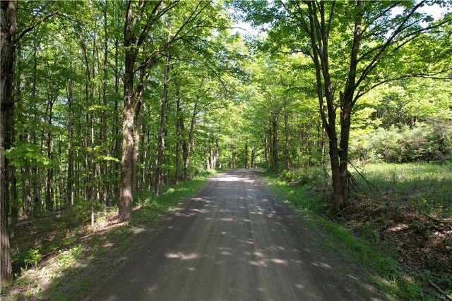 326 Park Hill Road, Erin, NY 14838