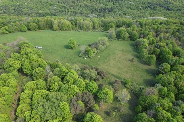 326 Park Hill Road, Erin, NY 14838