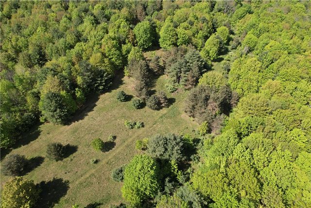 326 Park Hill Road, Erin, NY 14838