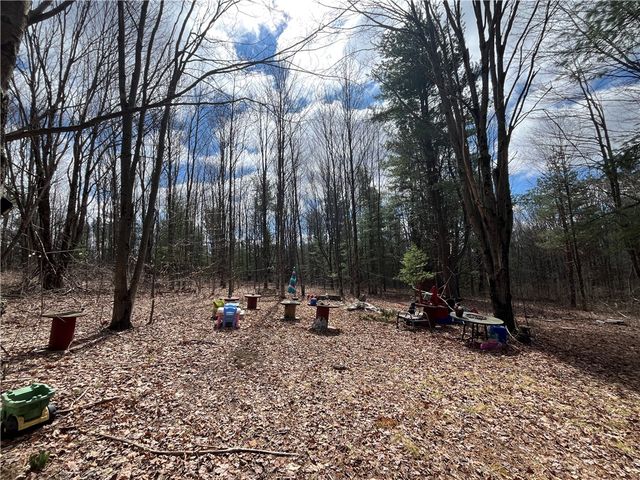 326 Park Hill Road, Erin, NY 14838