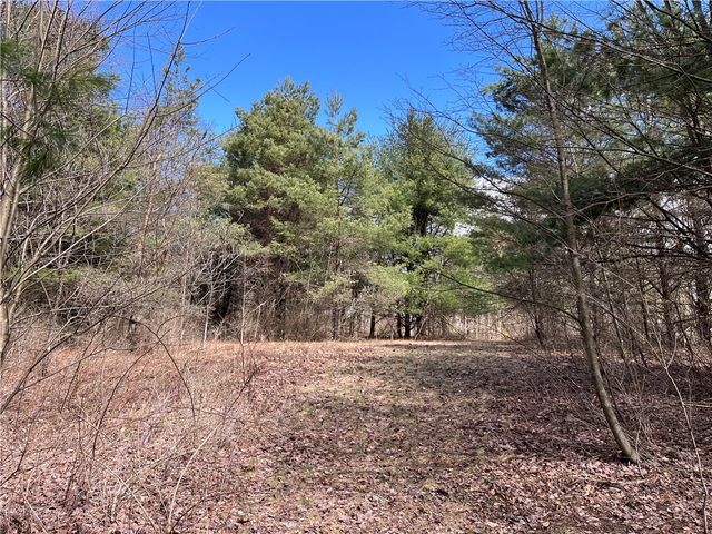 326 Park Hill Road, Erin, NY 14838