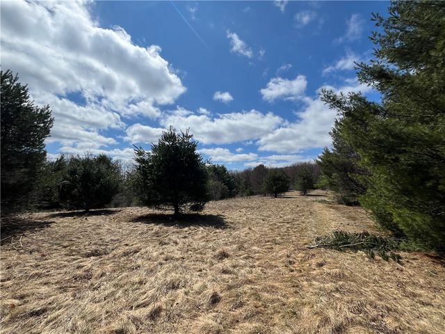 326 Park Hill Road, Erin, NY 14838