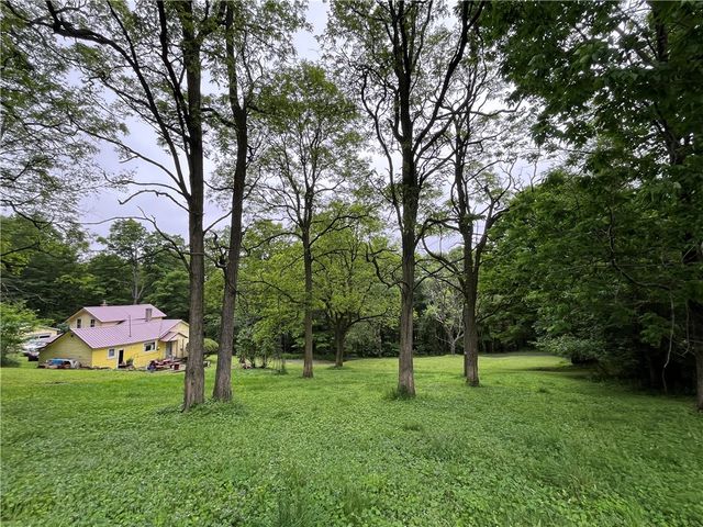 326 Park Hill Road, Erin, NY 14838