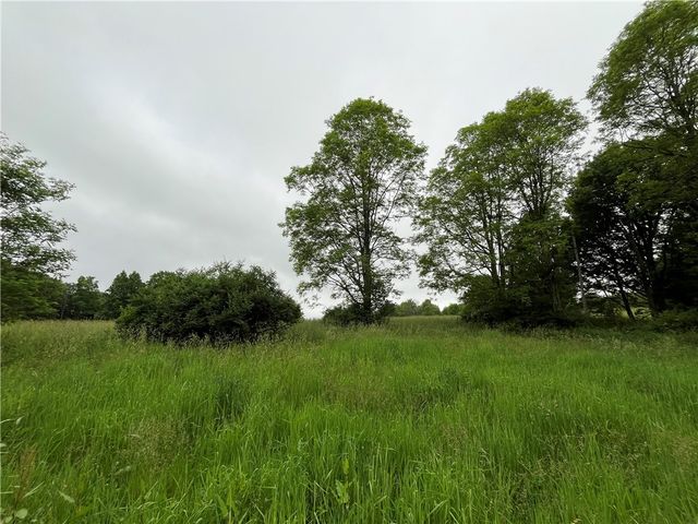 326 Park Hill Road, Erin, NY 14838