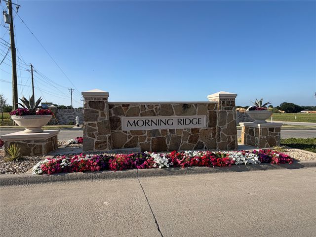 205 Michael Drive, Princeton, TX 75407