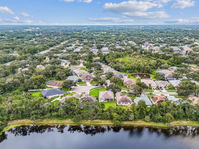 10022 CANNON DRIVE, Riverview, FL 33578