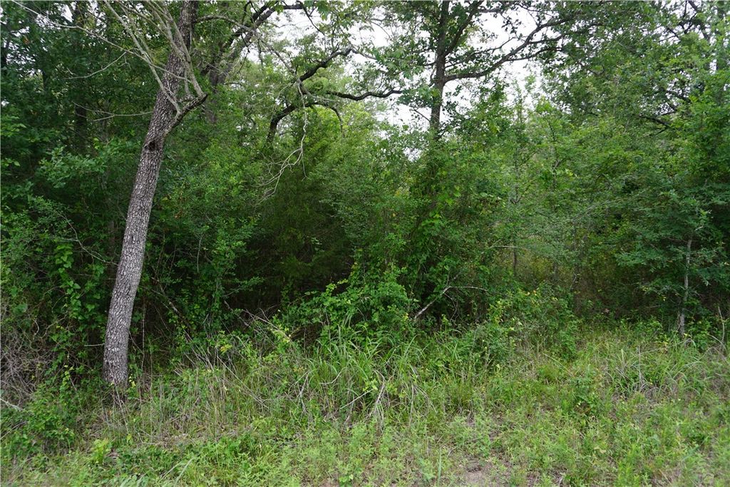 TBD Creek Side Cir, Caldwell, TX 77836 — photo 3