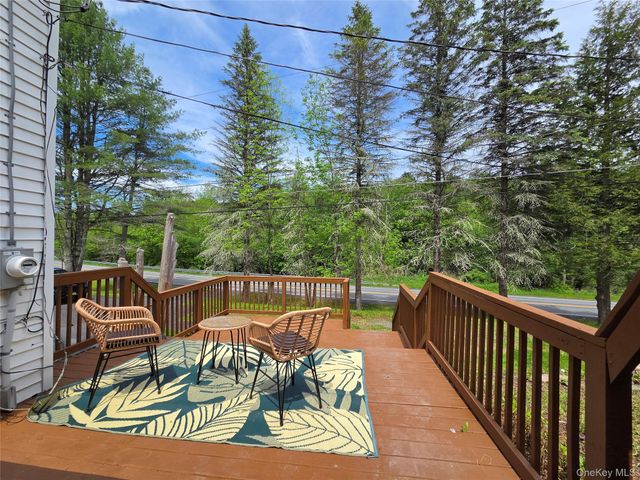 253 Harris Bushville Road, Monticello, NY 12701