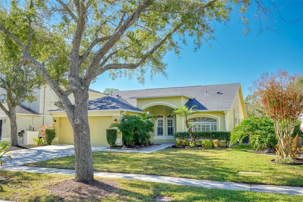 15404 SIR MAXWELL COURT, Odessa, FL 33556