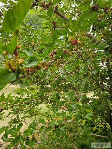 1052 E 129 N, Idaho Falls, ID 83401