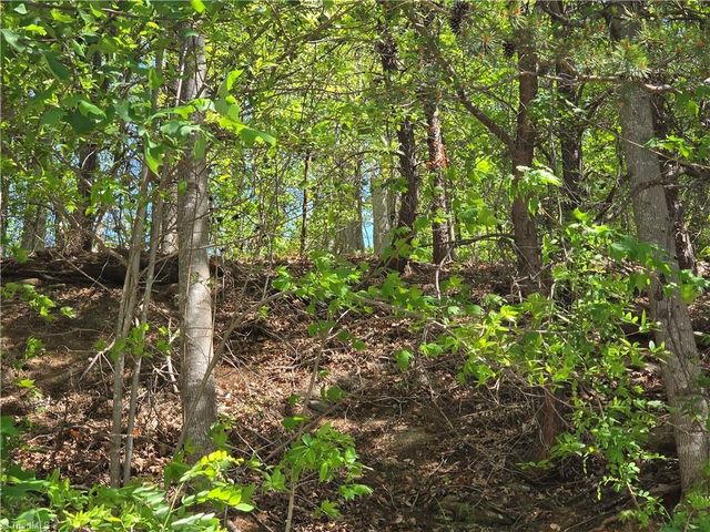 TBD Price Road, Moravian Falls, NC 28654