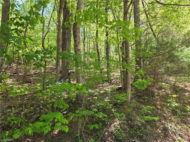 TBD Price Road, Moravian Falls, NC 28654