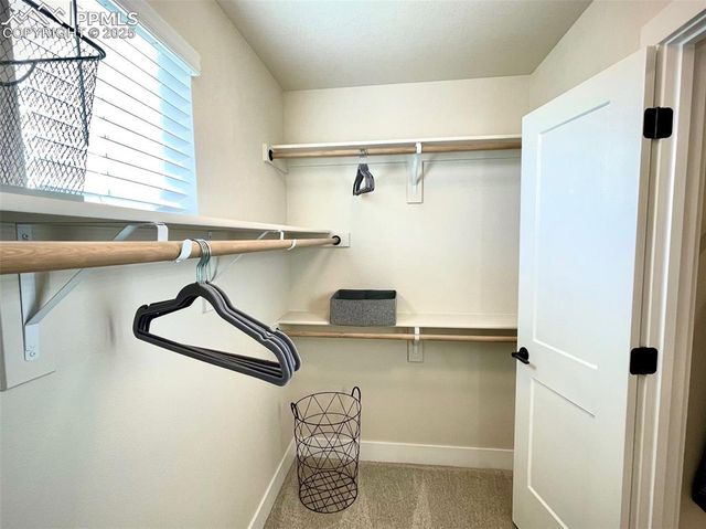 6156 Steele Creek Way, Colorado Springs, CO 80922