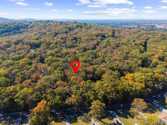 10005 Bayreuth Drive, Huntsville, AL 35803