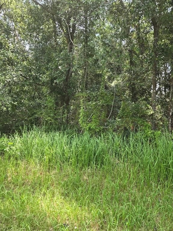 2749 Bear Fork Road, Eight Mile, AL 36613 — exterior