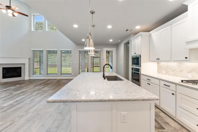 225 Bronze View Drive, Montgomery, TX 77316