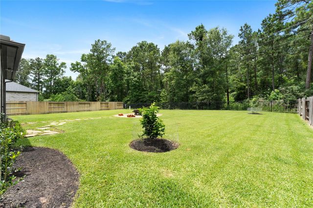 225 Bronze View Drive, Montgomery, TX 77316