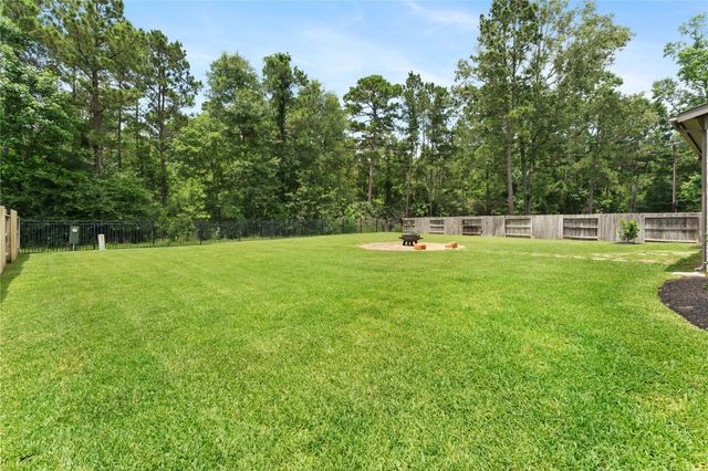 225 Bronze View Drive, Montgomery, TX 77316
