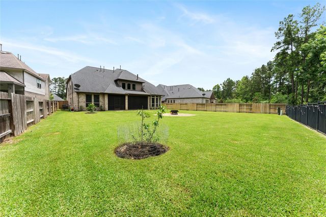 225 Bronze View Drive, Montgomery, TX 77316