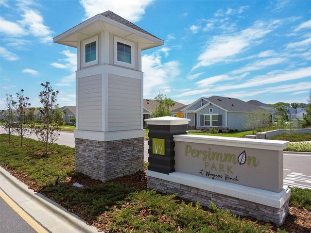 28748 RAMBUTAN DRIVE, Wesley Chapel, FL 33543