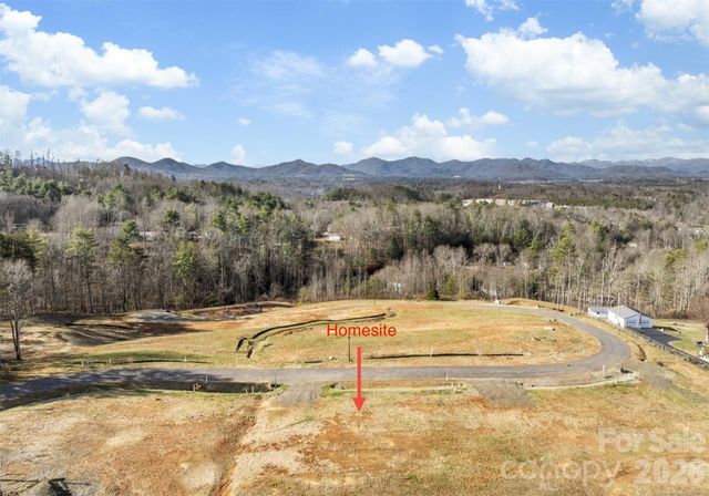 TBD Sky Drive 2, Asheville, NC 28804