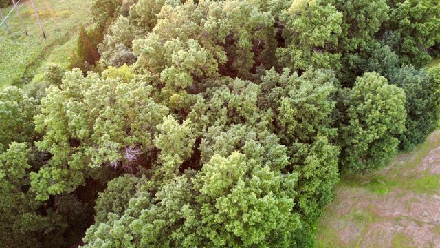 6100 W HWY 124, Harrisburg, MO 65256