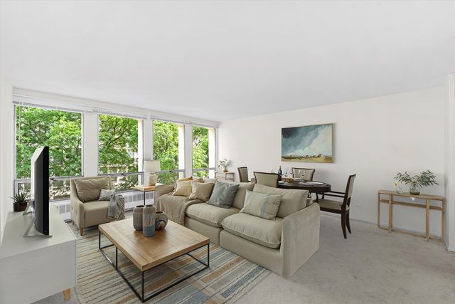 1450 E 55th Place 317S, Chicago, IL 60637