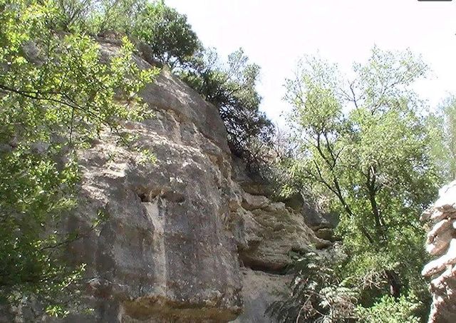 25555 Pedernales Point DR, Spicewood, TX 78669