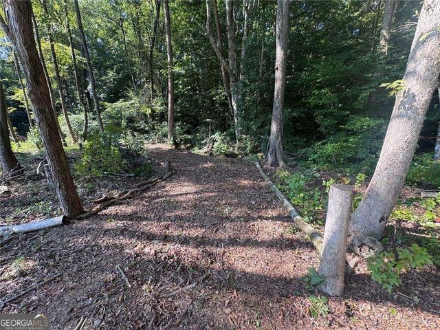163 Meadow Spring Court, Temple, GA 30179