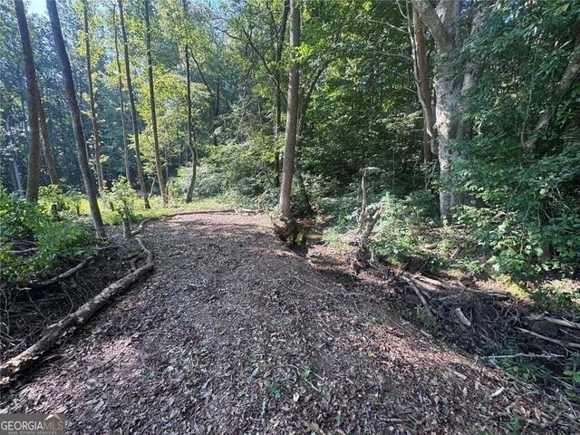 163 Meadow Spring Court, Temple, GA 30179