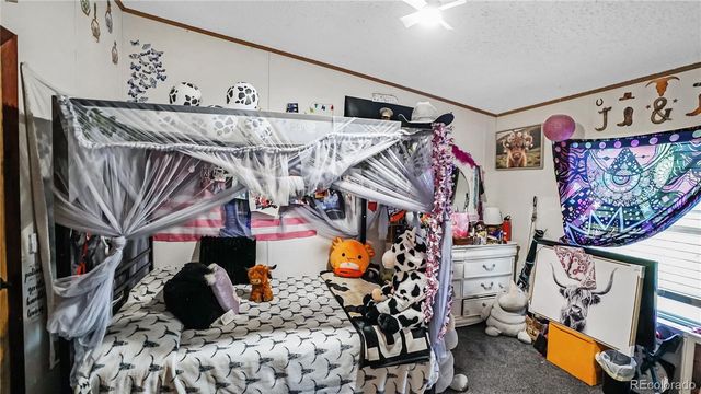 76 S Pine Drive, Bailey, CO 80421