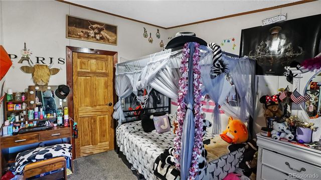 76 S Pine Drive, Bailey, CO 80421