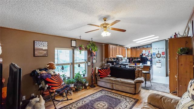 76 S Pine Drive, Bailey, CO 80421