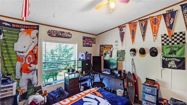 76 S Pine Drive, Bailey, CO 80421